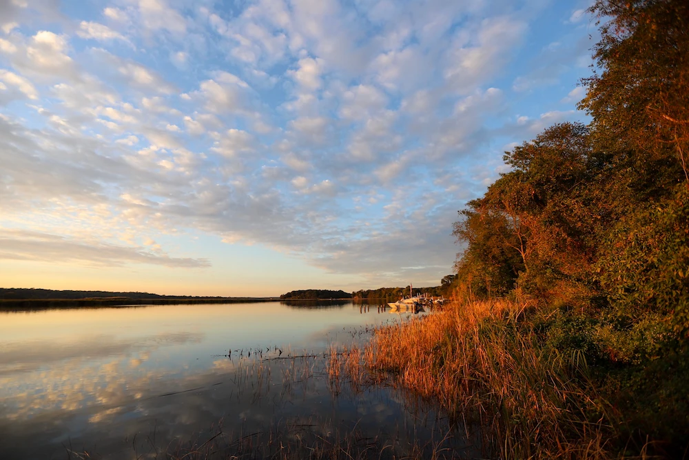 couple buying a house